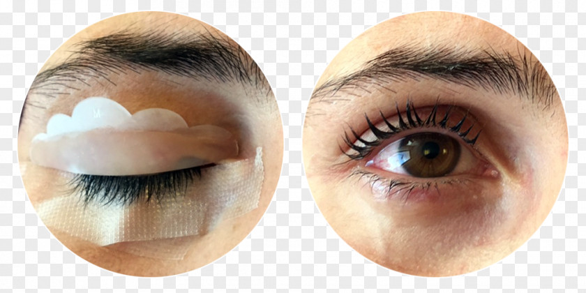 Hair Eyelash Extensions Transplantation Eye Shadow Liner PNG