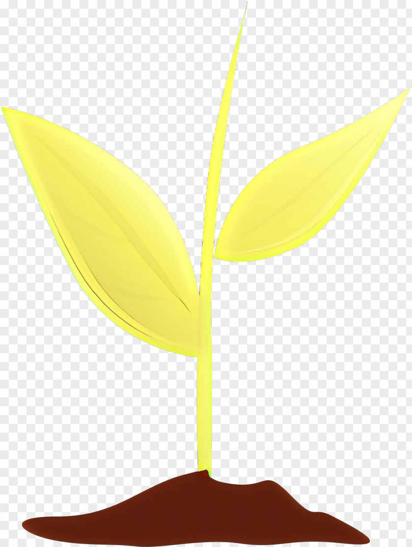 Plant Stem Anthurium Leaf Yellow Tree Flower PNG