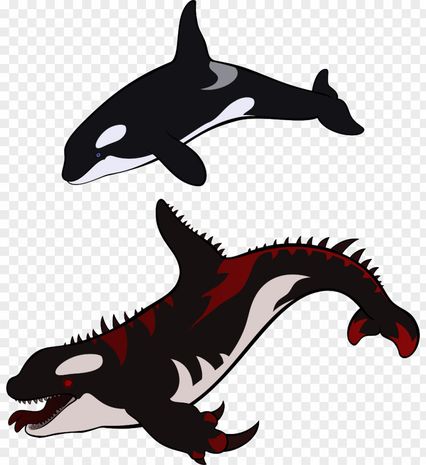 Shark Killer Whale Dolphin Cetacea PNG