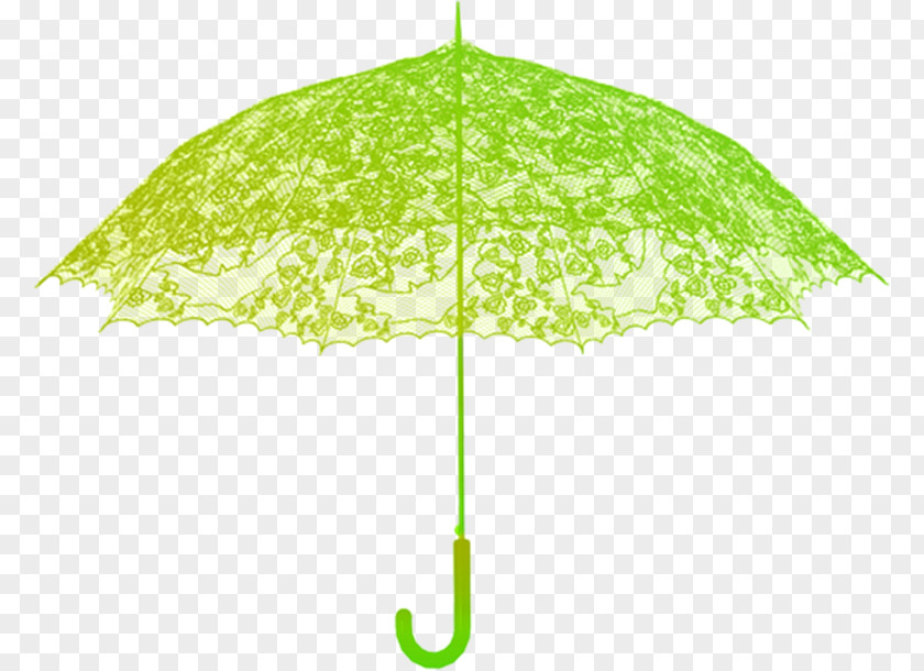 Ym Umbrella Art Ombrelle PNG