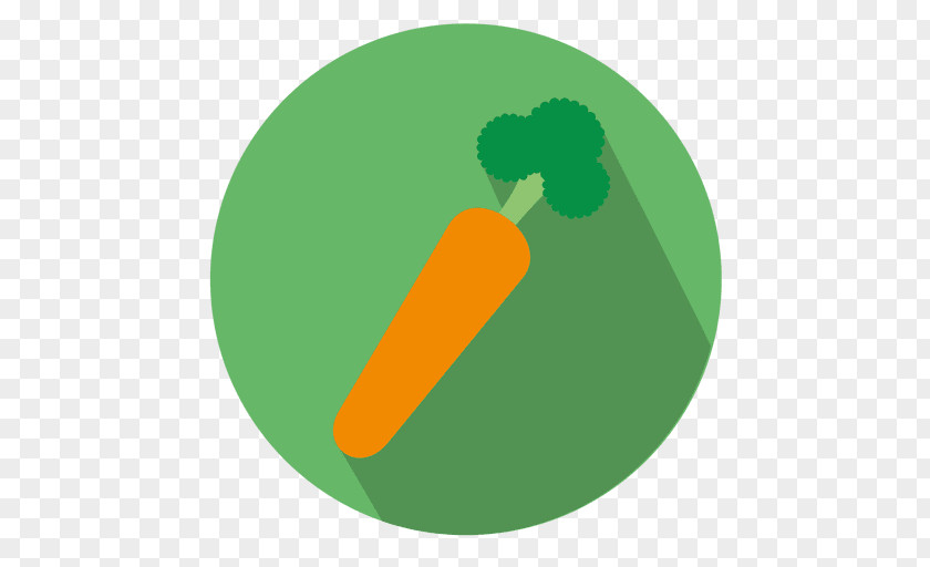 Carrot Vegetable PNG