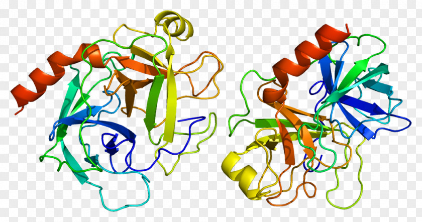 Enzyme Trypsin 1 Trypsinogen Serine Protease PNG