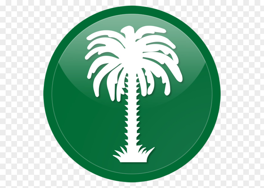 Flag Of Saudi Arabia House Saud National PNG