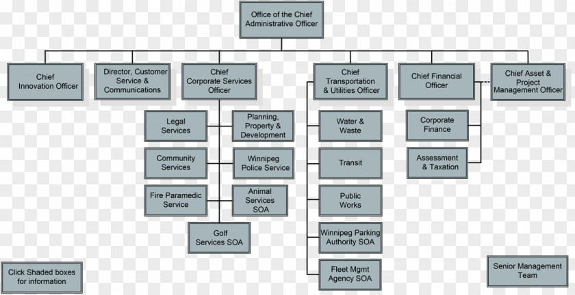 Organizational Chart Management Structure PNG