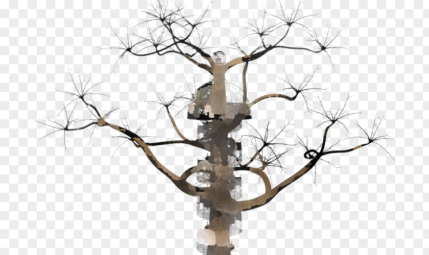 Tree Branch Twig Plant Woody PNG