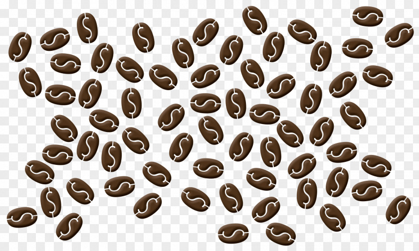 Black Beans The Coffee Bean & Tea Leaf Cafe Dollar Sign PNG