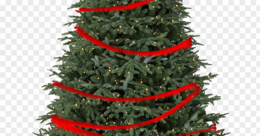 Christmas Tree Artificial Fir Lights PNG