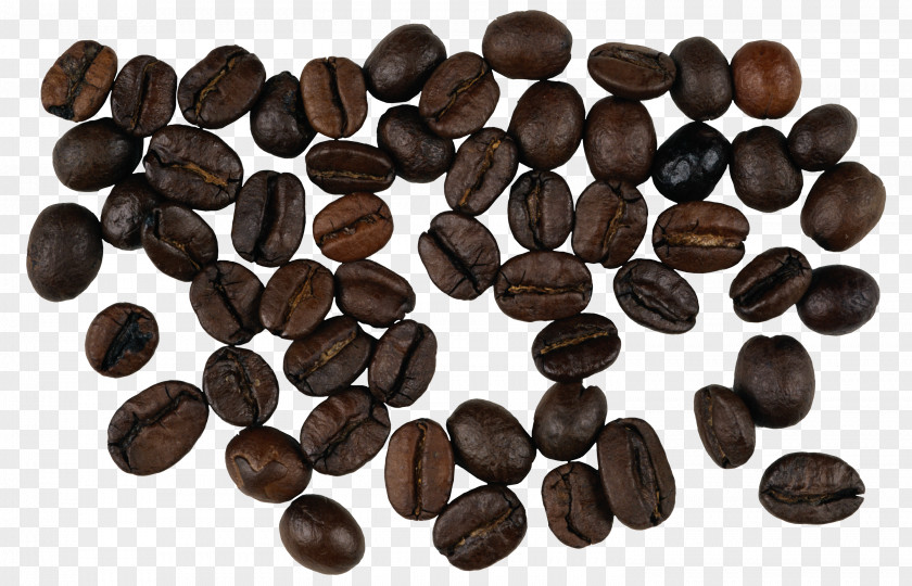 Coffee Beans Turkish Latte Bean Jamaican Blue Mountain PNG