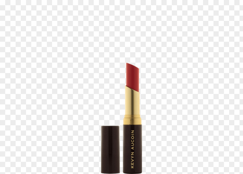 Lipstick Kevyn Aucoin The Matte Lip Color Expert PNG