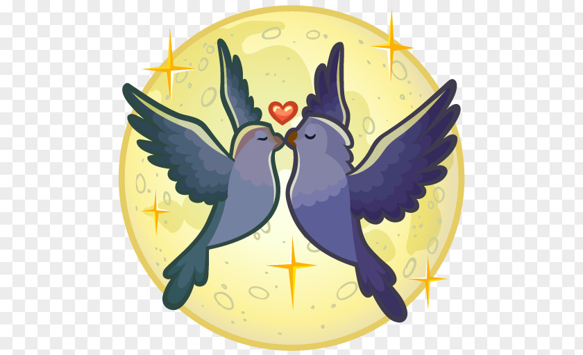 Lovebird Macaw Clip Art Illustration Beak PNG
