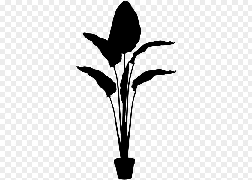M Flower Leaf Plant Stem Font Black & White PNG