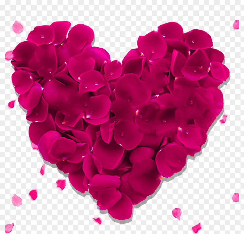 Rose Petal Valentine's Day Heart Vector Graphics Image Gift PNG