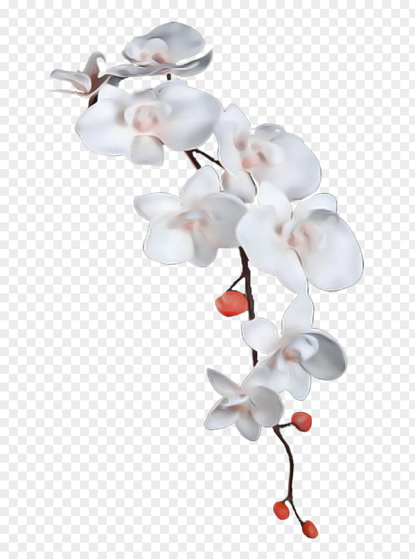 Twig Cherry Blossom Background PNG