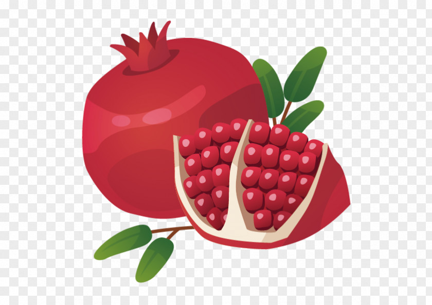 Vector Pomegranate Royalty-free Food Icon PNG