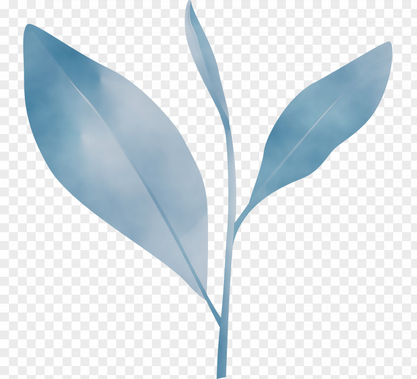 Feather PNG