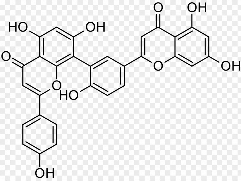 Hypericum Iopamidol Radiocontrast Agent Radiography Chemical Substance PNG