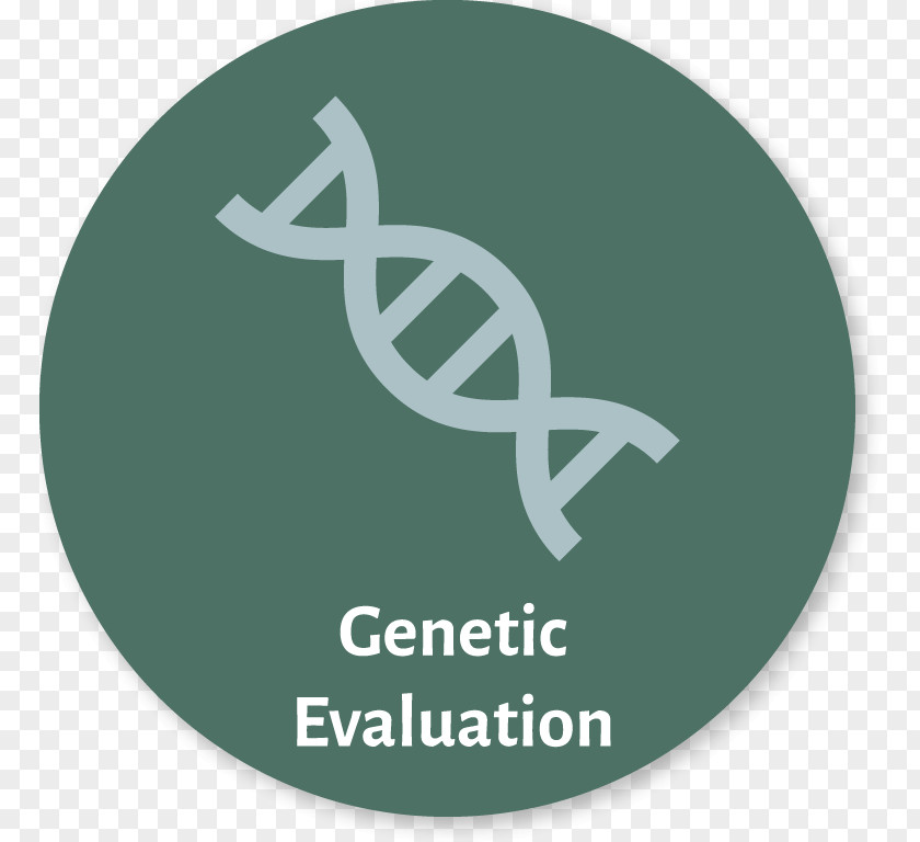 Longevity DNA Drawing Clip Art PNG