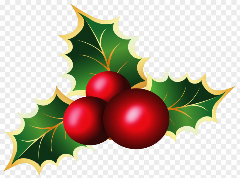 Mistletoe Cliparts Transparent Christmas Viscum Album Clip Art PNG
