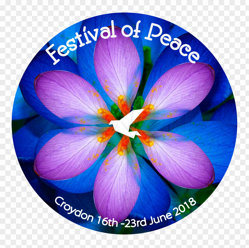 Peace Festival Croydon Mayor Of London Boroughs Orchestra PNG