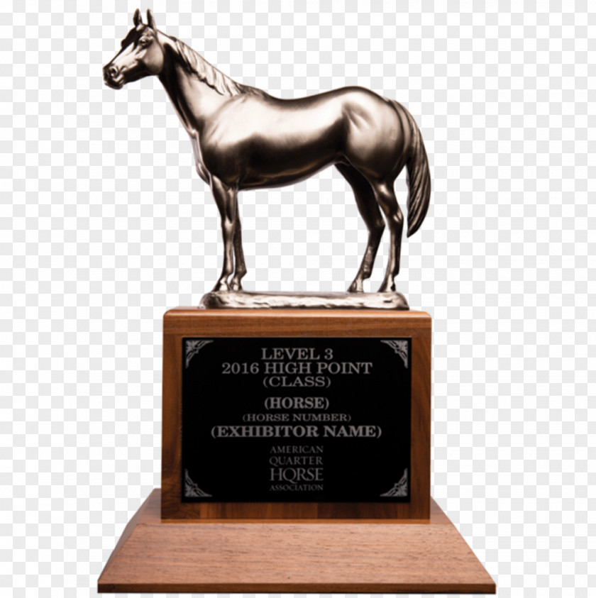 Trophy Award Commemorative Plaque American Quarter Horse Association PNG