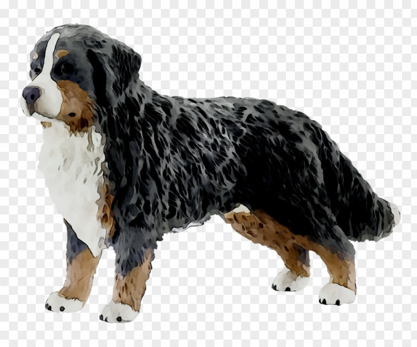 Bernese Mountain Dog Breed Greater Swiss Barbie Sisters Wave Ride Jet Ski PNG