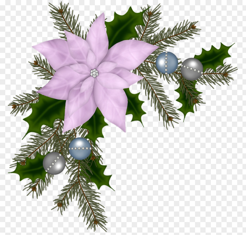Flower Garland Christmas Ornament Decoration Poinsettia PNG