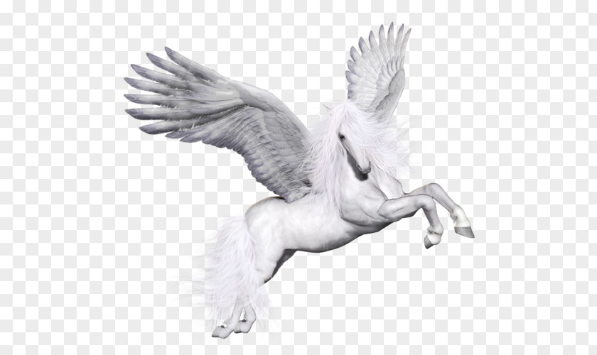 Horse Pegasus Unicorn Clip Art PNG