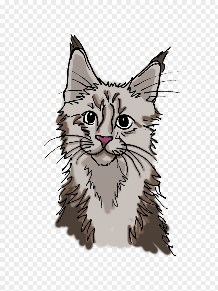 Kitten Whiskers Maine Coon Tabby Cat Domestic Short-haired PNG