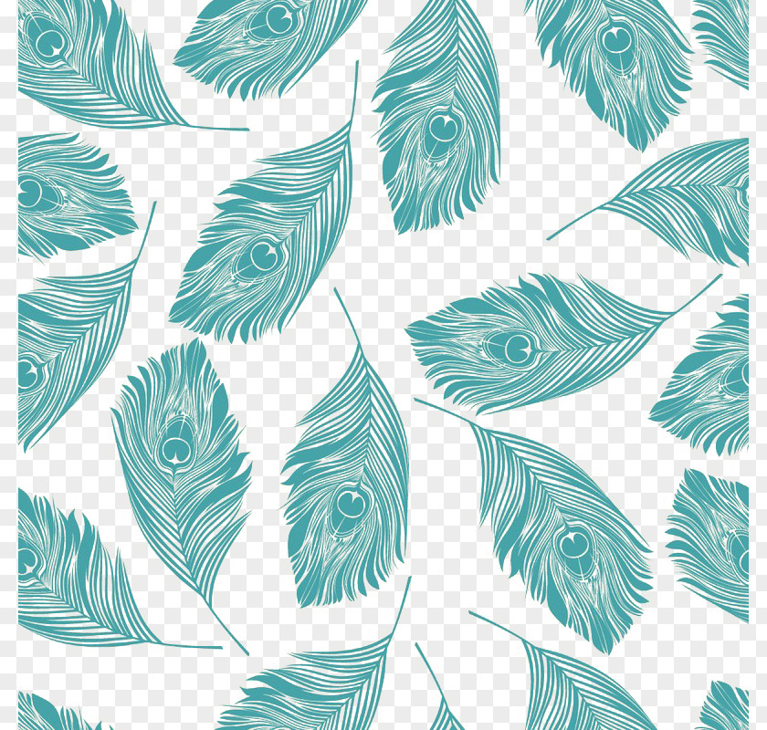 Peacock Feather Background Material Buckle Free Bird Paper Peafowl Wallpaper PNG