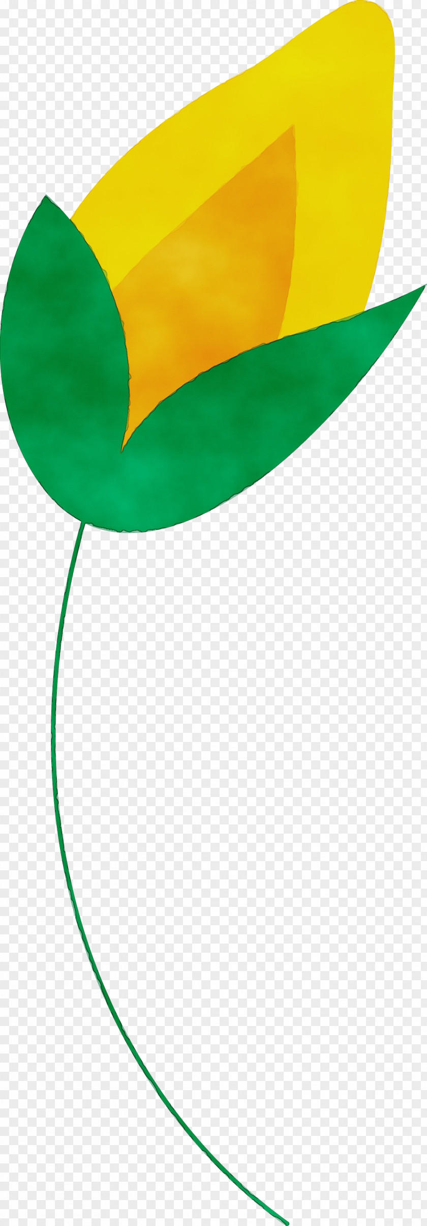 Plant Stem Petal Leaf Green Line PNG