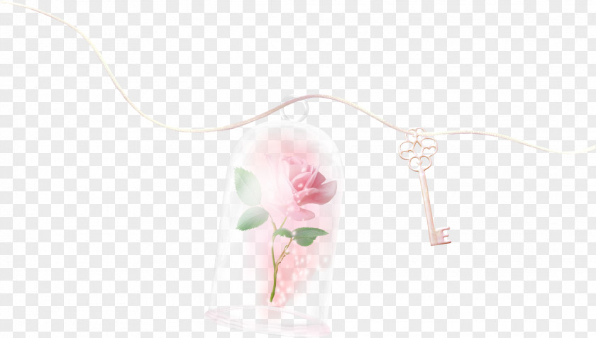 Rope Key Flowers Transparent Bottle Petal Pattern PNG