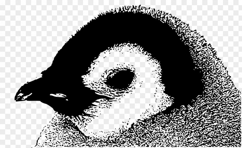 Penguin Chick Bird Emperor Clip Art PNG
