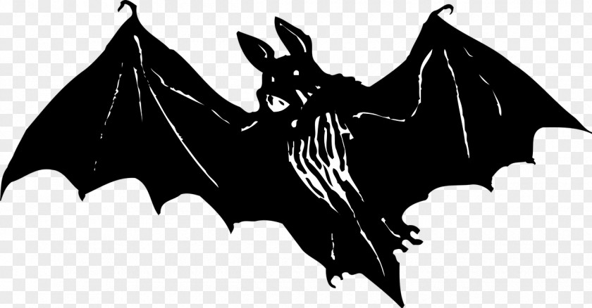 Bat Microbat PNG
