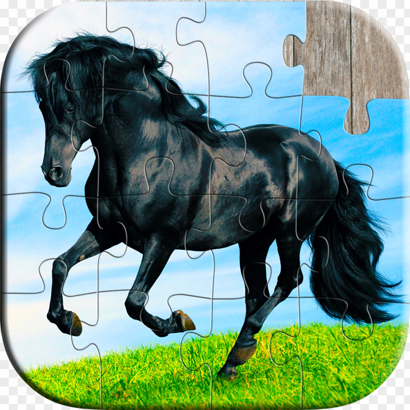 For Kids & AdultsHorse Horse Jigsaw Puzzles Game PNG
