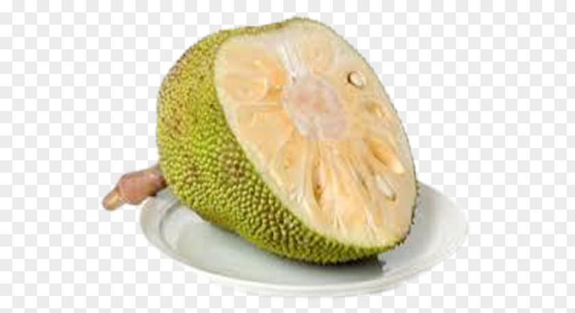 Jackfruit Frame Seeds Asian Cuisine Food PNG