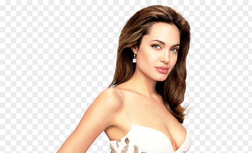 Jolie Angelina Lara Croft: Tomb Raider Celebrity PNG