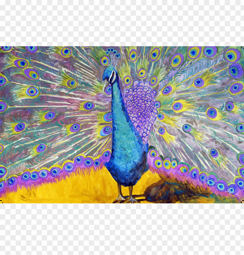 Peacock Peafowl Painting Dance Art Palette PNG