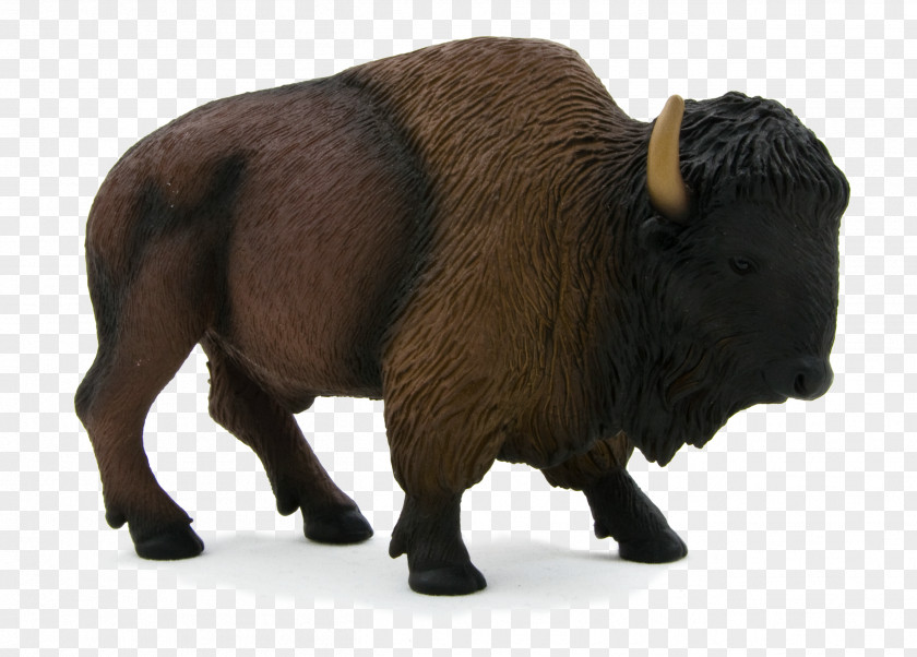 Boson American Bison African Buffalo Deer White United States PNG