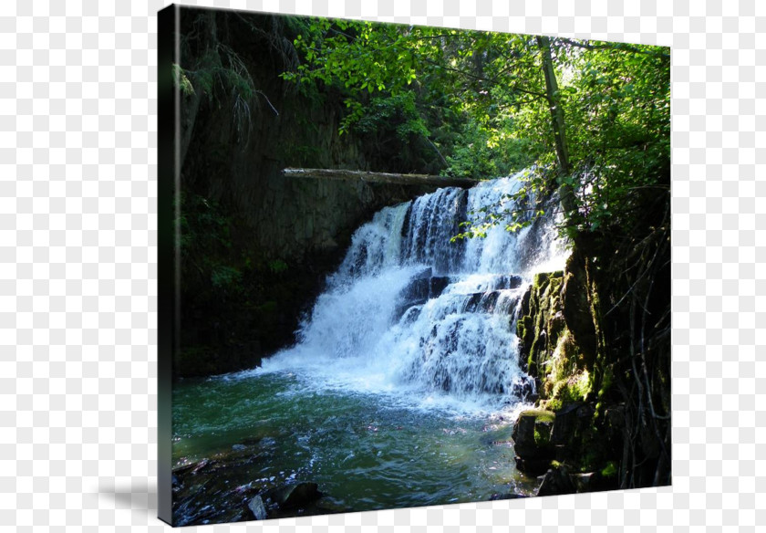 Middle Falls Water Resources Waterfall Nature Reserve Gallery Wrap Story PNG