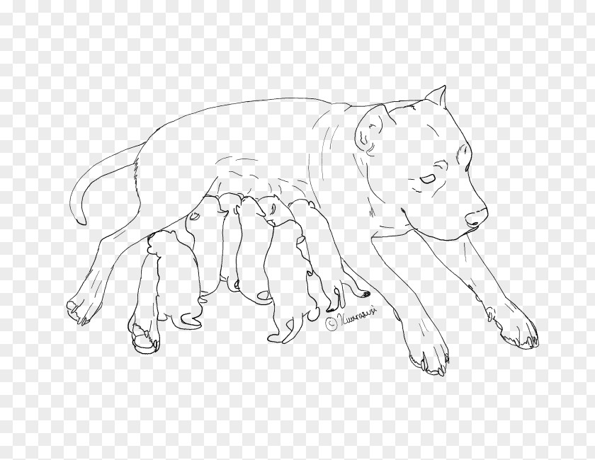 Pitbull American Pit Bull Terrier Line Art Drawing Puppy PNG