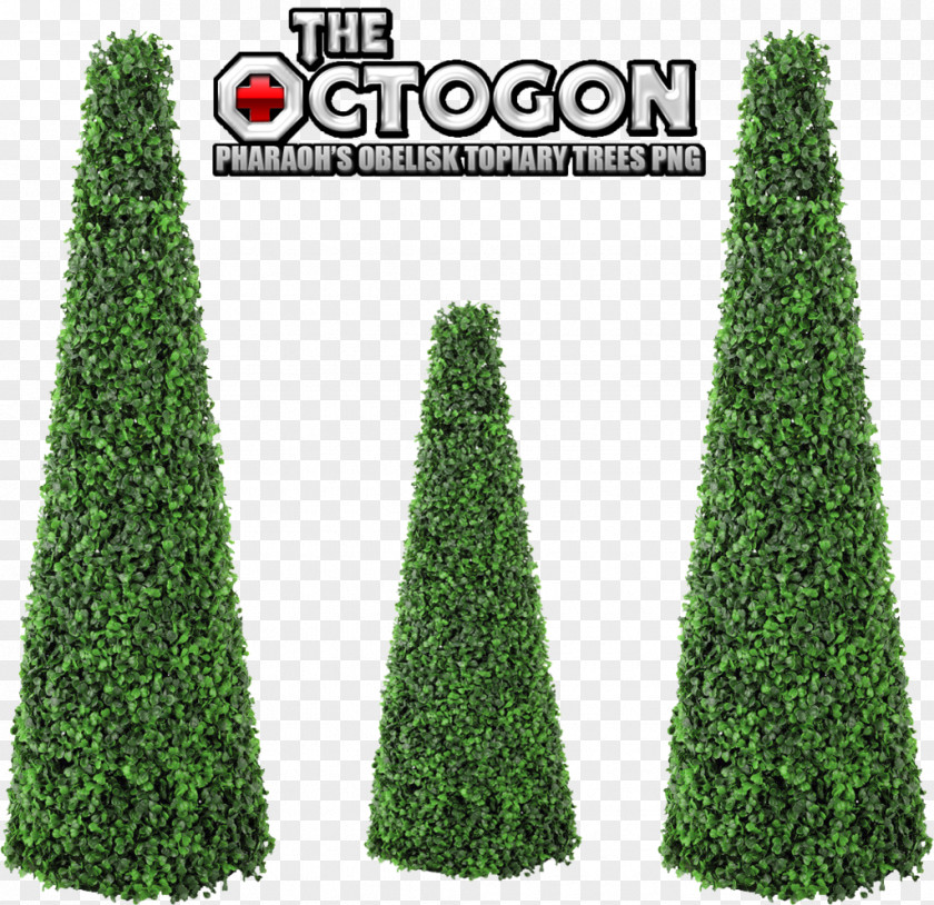 Tree Spruce Topiary Evergreen PNG