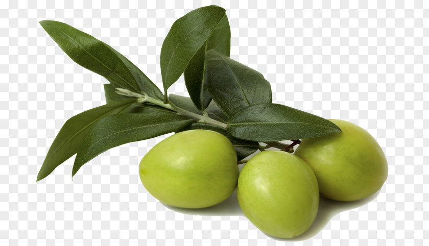 Aceituna Olive Oil Leaf Food Ingredient PNG