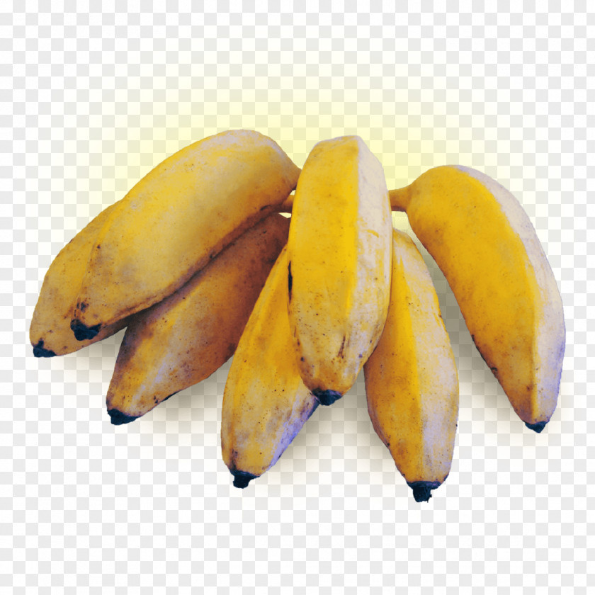 Banana Dwarf Cavendish Cooking Fruit PNG