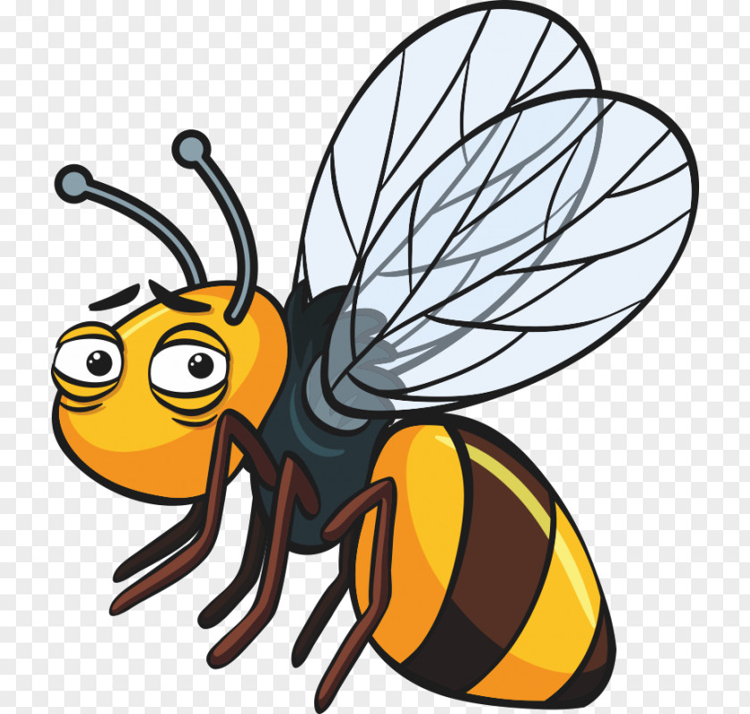 Bee Insect Clip Art Vector Graphics Illustration PNG