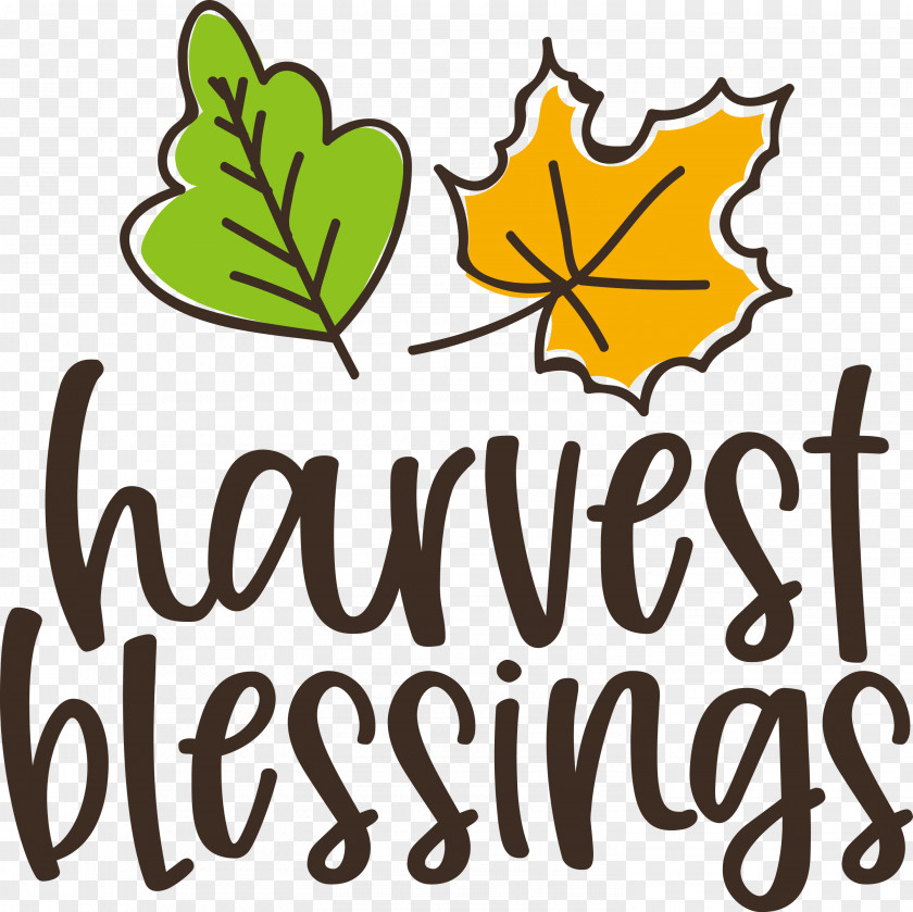 Harvest Thanksgiving Autumn PNG