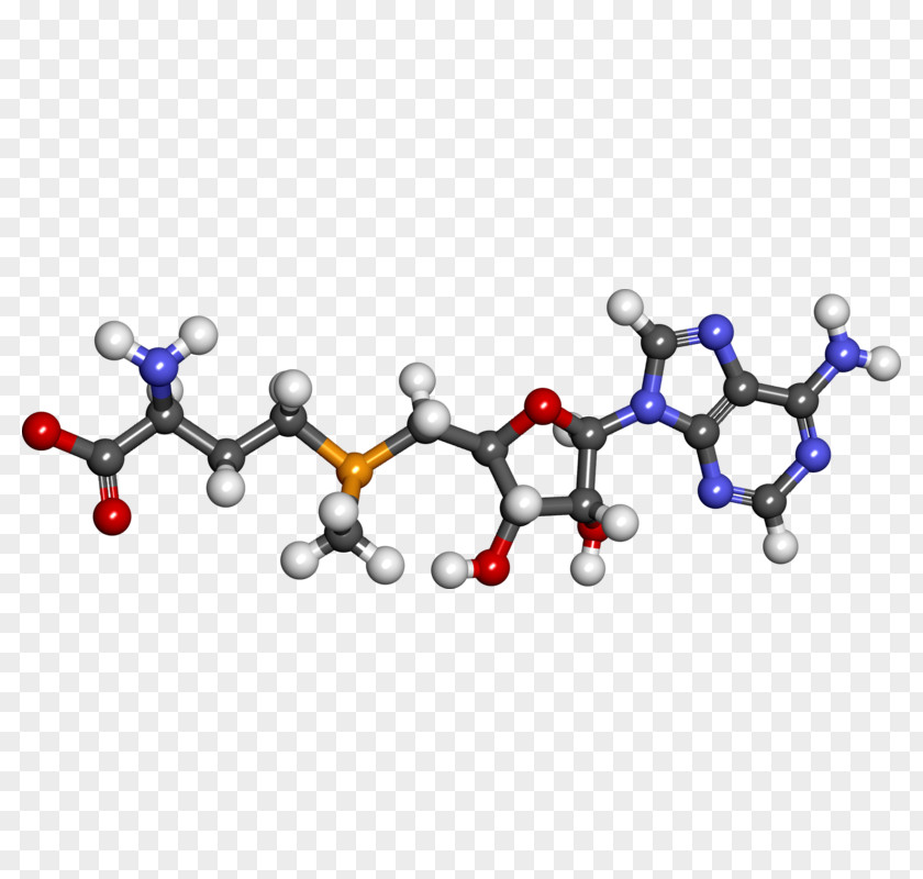 Health Dietary Supplement S-Adenosyl Methionine Cysteine PNG