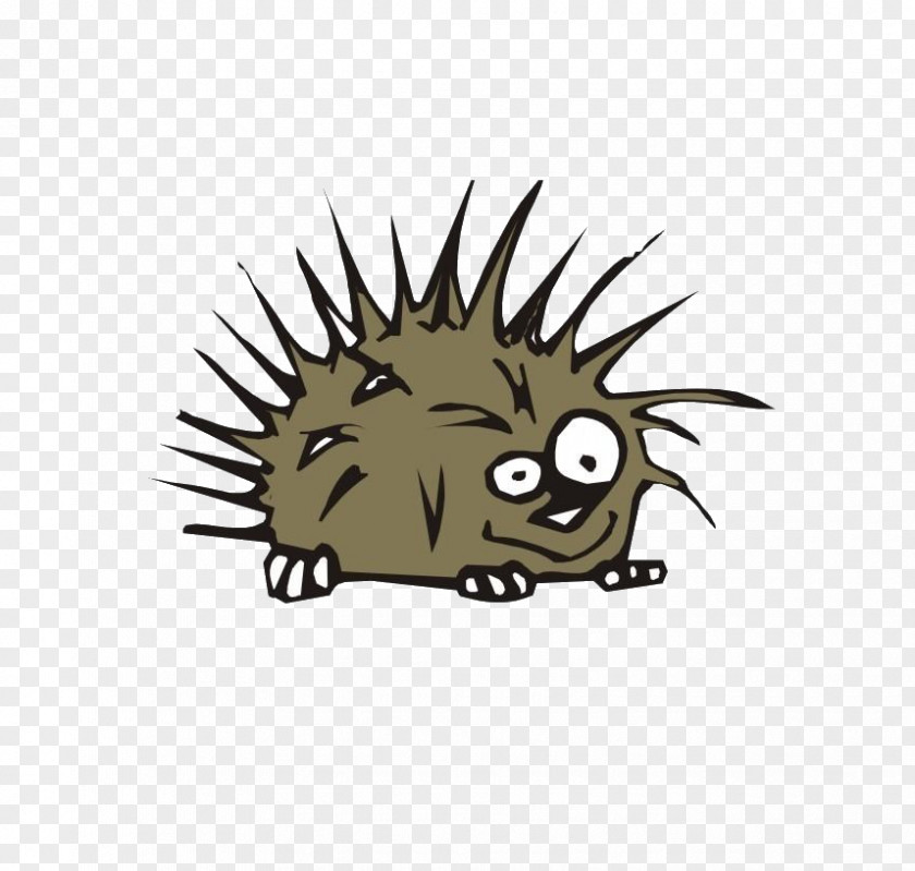 Hedgehog Porcupine Cartoon Clip Art PNG
