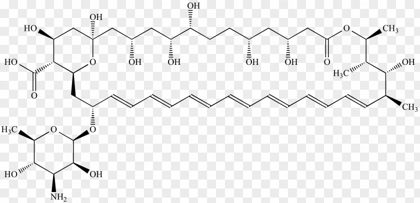 Amphotericin B Organic Chemistry Chemical Structure Compound PNG chemistry structure compound, science clipart PNG