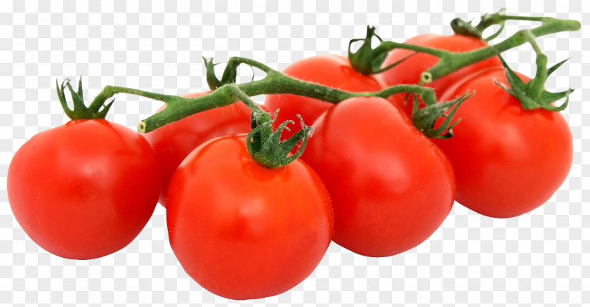 Bunch Of Fresh Tomatoes Tomato Pizza Organic Food Vegetarian Cuisine Vegetable PNG