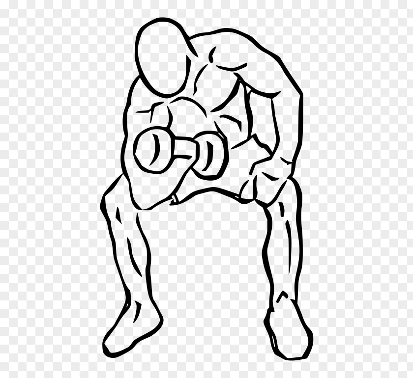 Dumbbell Biceps Curl Bench Exercise PNG
